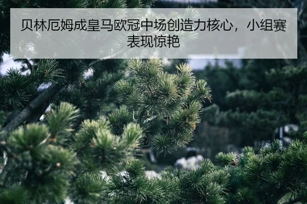 bei-lin-e-mu-cheng-huang-ma-ou-guan-zhong-chang-chuang-zao-li-he-xin-xiao-zu-sai-biao-xian-jing-yan-2-806.jpg