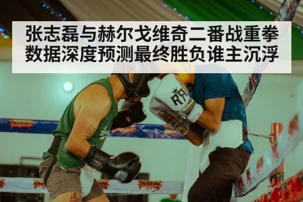 张志磊与赫尔戈维奇二番战重拳数据深度预测最终胜负谁主沉浮
